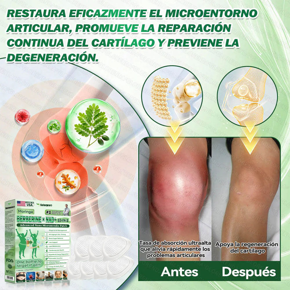 🇺🇸 𝐎𝐟𝐟𝐢𝐜𝐢𝐚𝐥 𝐔𝐒 𝐒𝐭𝐨𝐫𝐞 | 🧑‍⚕️ 🩺 𝑺𝐨𝐥𝐚𝐫𝐲𝐫𝐚® Moringa · Berberina × NAD+ 𝟏0 en 1 Advancedcd Nano Micron Patch - Todos los días, resultados visibles en 2 días-XA