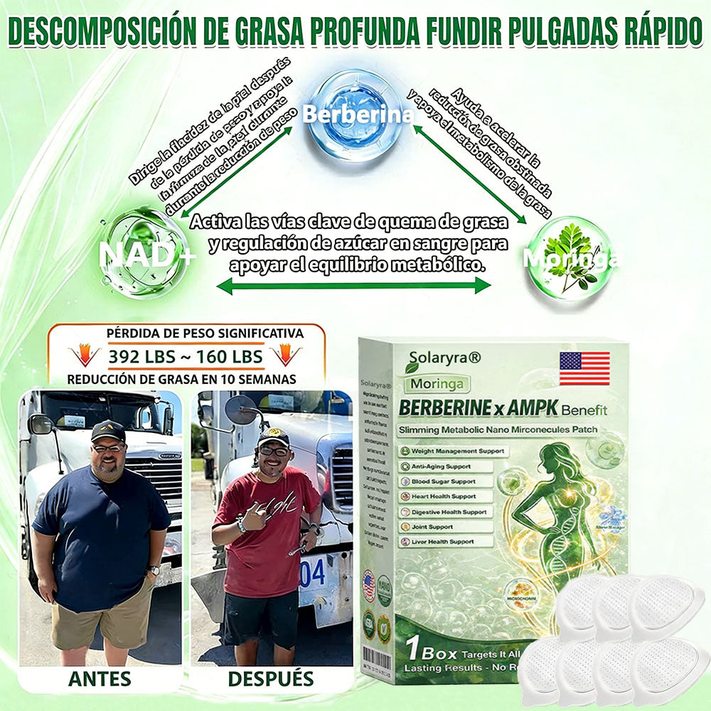 🔥Solaryra® Moringa × Berberina × AMPK Parche de nano microagujas adelgazante y metabólico de 8 beneficios 🇺🇸 Solo una vez al día · Cambios visibles en 7 días ✅ Para obesidad, piel flácida, diabetes, apnea del sueño, problemas articulares y más-TJY