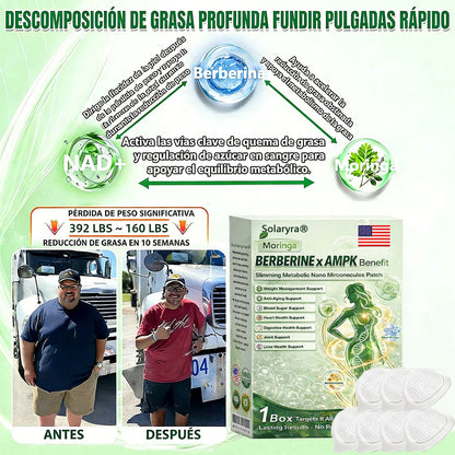 🔥Solaryra® Moringa × Berberina × AMPK Parche de nano microagujas adelgazante y metabólico de 8 beneficios 🇺🇸 Solo una vez al día · Cambios visibles en 7 días ✅ Para obesidad, piel flácida, diabetes, apnea del sueño, problemas articulares y más-TJY