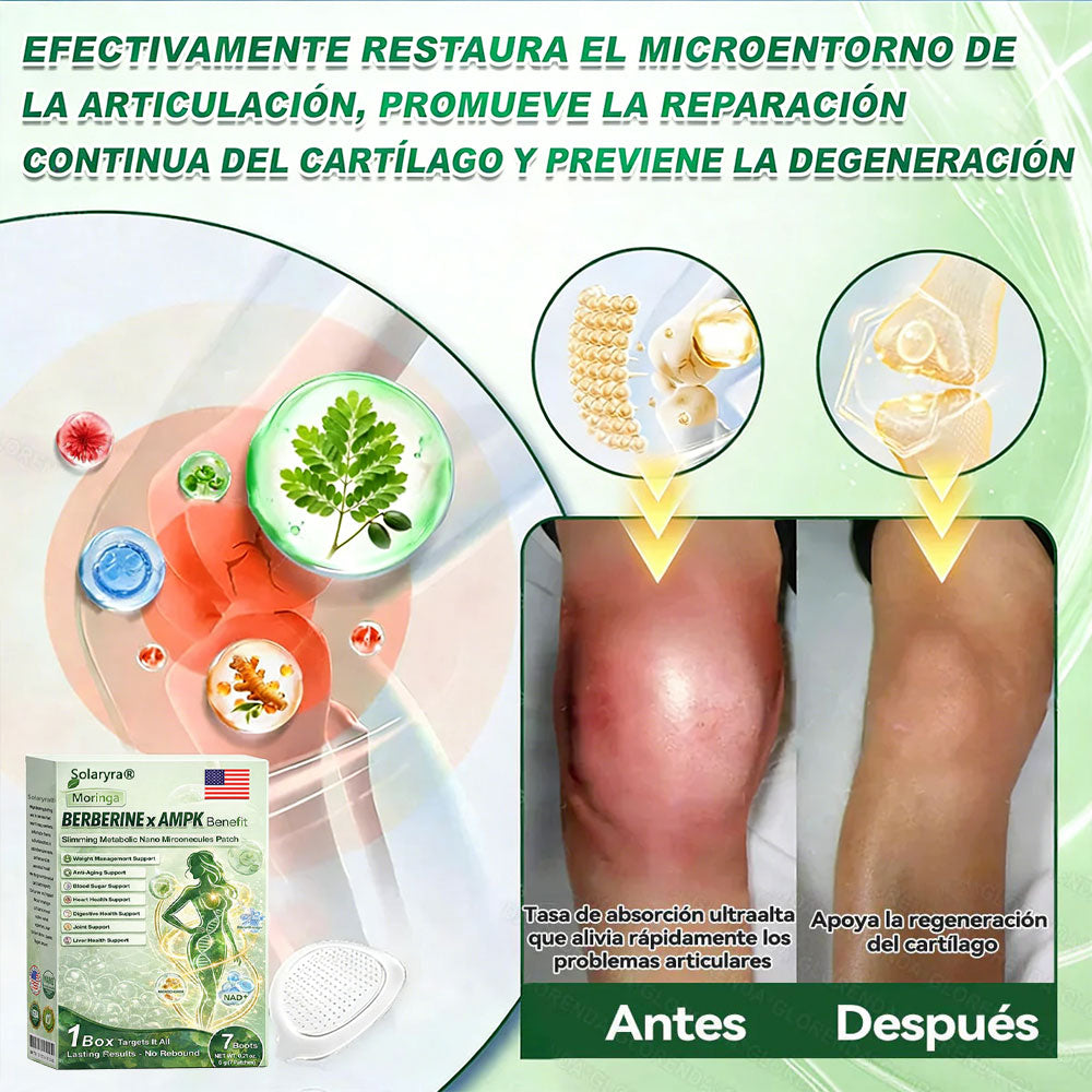 🔥Solaryra® Moringa × Berberina × AMPK Parche de nano microagujas adelgazante y metabólico de 8 beneficios 🇺🇸 Solo una vez al día · Cambios visibles en 7 días ✅ Para obesidad, piel flácida, diabetes, apnea del sueño, problemas articulares y más-TJY