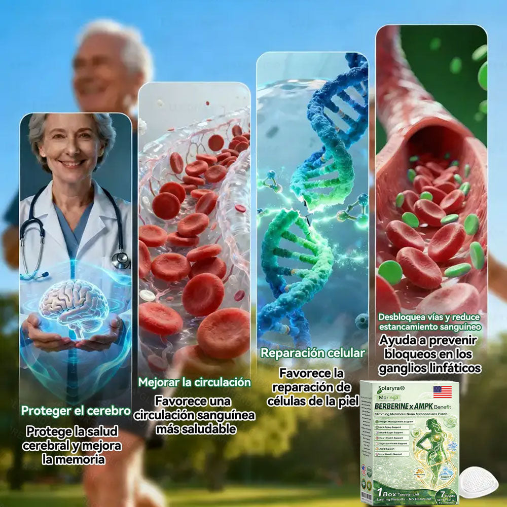 🔥Solaryra® Moringa × Berberina × AMPK Parche de nano microagujas adelgazante y metabólico de 8 beneficios 🇺🇸 Solo una vez al día · Cambios visibles en 7 días ✅ Para obesidad, piel flácida, diabetes, apnea del sueño, problemas articulares y más-TJY