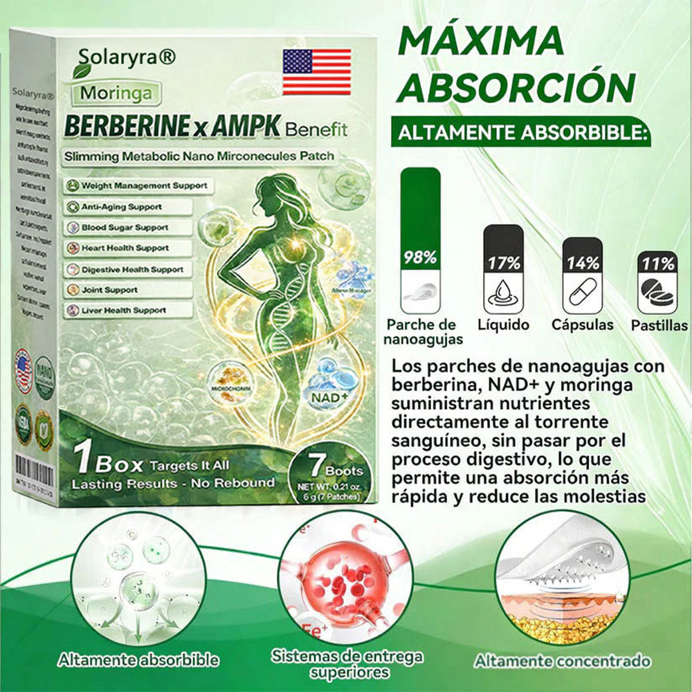 🔥Solaryra® Moringa × Berberina × AMPK Parche de nano microagujas adelgazante y metabólico de 8 beneficios 🇺🇸 Solo una vez al día · Cambios visibles en 7 días ✅ Para obesidad, piel flácida, diabetes, apnea del sueño, problemas articulares y más-TJY