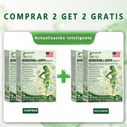 🔥Solaryra® Moringa × Berberina × AMPK Parche de nano microagujas adelgazante y metabólico de 8 beneficios 🇺🇸 Solo una vez al día · Cambios visibles en 7 días ✅ Para obesidad, piel flácida, diabetes, apnea del sueño, problemas articulares y más-TJY